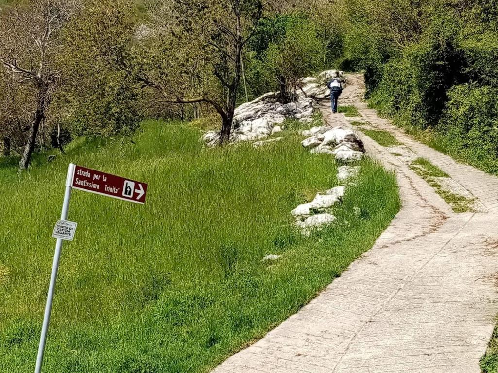 Вилла Hiking Escape Parzanica Экстерьер фото